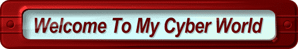 Welcome To My Cyber World